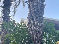 -海悦山庄酒店-花园泳池