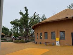 -武汉动物园