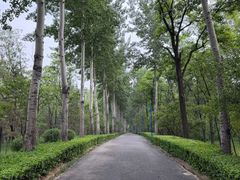 -森林公园(尖草坪区)