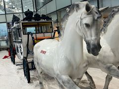 -世界之窗阿尔卑斯冰雪世界