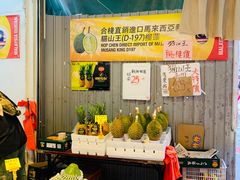 -油麻地果栏