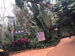 -海南热带野生动植物园