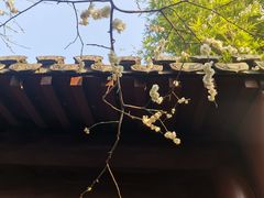 -钱王祠