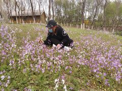 -大兴滨河森林公园