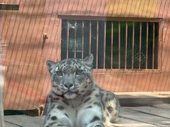 -青藏高原野生动物园