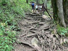 -王顺山国家森林公园