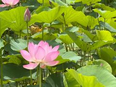 -云龙湖旅游景区