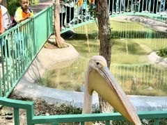 -水上乐园·欢乐世界