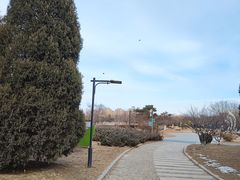 -太阳宫公园