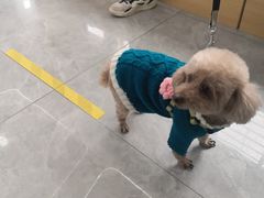 -pd派德宠物中心医院24H急重症·眼科中心·血液透析中心(嵩山北路店)