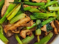 -天鹅到家·保姆月嫂育儿嫂(总店)