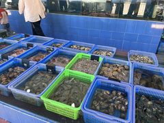 -七鲜渔港美食餐厅(巽寮湾海景店)