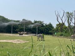 -宁波野生动物园