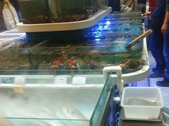 -大众海鲜(巨龙北路店)
