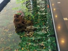 -苏州鹏龙东昌奔驰4S店