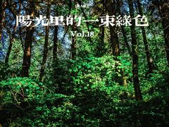 -百里天路