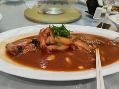 -丁老爷子苏香圆