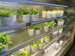 -V-ONE西雅图海鲜自助餐厅(仓山万达广场店)