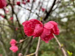 -杭州半山国家森林公园