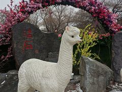 -北陵公园