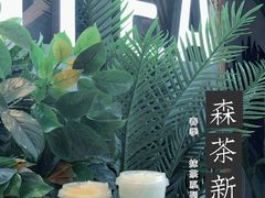 -SENTEA森茶(麦地丽日店)