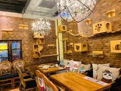 -more than meow吴止猫主题餐厅(承德 中船汇店)