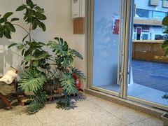 -DEEP COFFEE(瑞光烘焙工厂店)