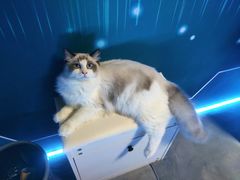 -零纪元VR体验馆·桌游(黄浦店)