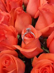 -I Do(齐齐哈尔新玛特购物广场店)