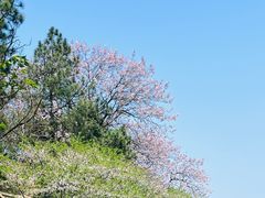-凤凰沟景区