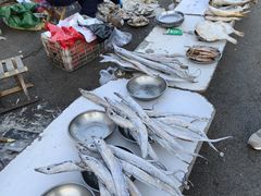 -鞍山市第六中学