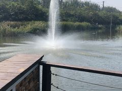 -前关湿地公园