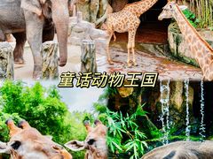-长鹿旅游休博园