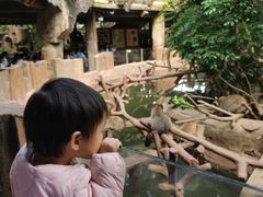 -长鹿旅游休博园