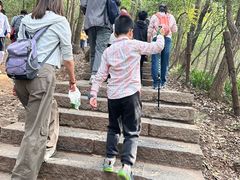 -紫金山山顶公园