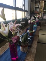 -酉嘉瑜伽YO+YOGA