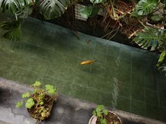-燕北云山·农家菜·灶台鱼(密云溪翁庄店)