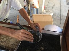 -叶氏麻糍(鼓浪屿店)
