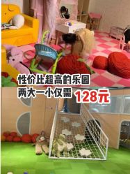 -塔塔王国·主题儿童游乐园(奥城商业广场店)