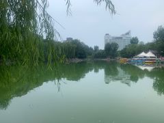 -莲湖公园