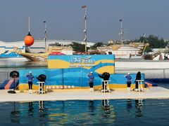 -秦皇岛乐岛海洋王国