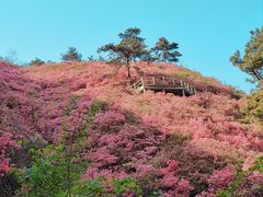 -木兰云雾山