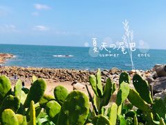 -广东惠东海龟国家级自然保护区