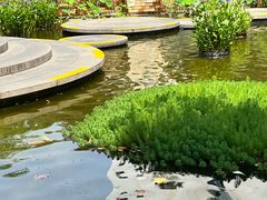 -常州古运河南大街文化旅游区-人民公园