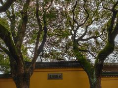 -西园戒幢律寺