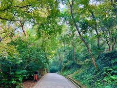 -虞山风景区