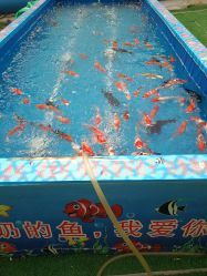 -萌宠亲子动物乐园(槐房万达店)