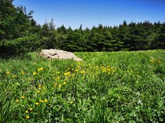 -白草畔自然风景区