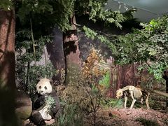 -湖南省地质博物馆