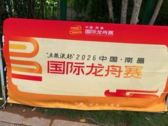 -九龙湖公园